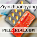 Ziyinzhuangyang new01